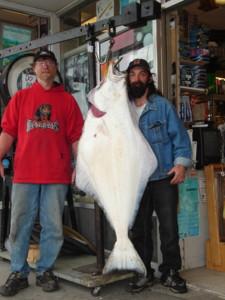Not only is the river fishing good so is the ocean.  This is a pic of an 82-pound Halibut caught in the Douglas Channel near Kitimat BC Canada.  Ocean fishing at its BEST!